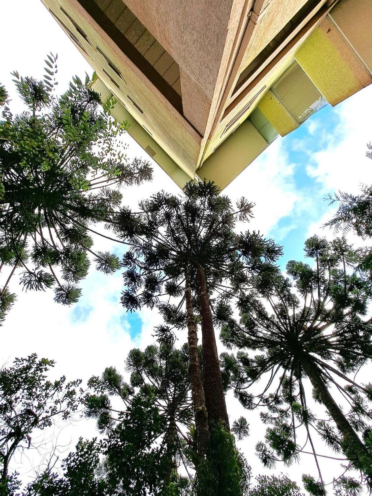 Apartamento Charmoso Com Lareira Campos do Jordão Exterior foto